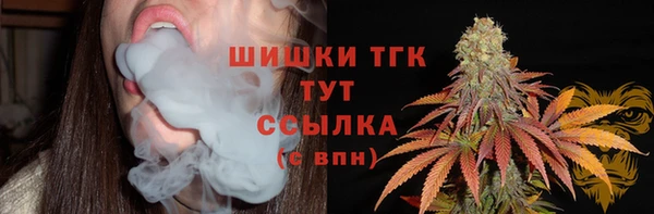 дурь Верхний Тагил
