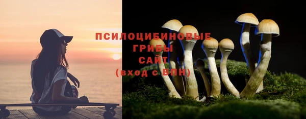 сатива Верхнеуральск
