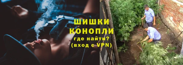 сатива Верхнеуральск