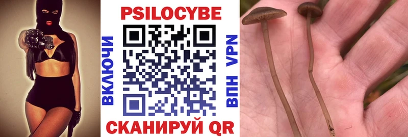 кракен tor  Кашира  Галлюциногенные грибы прущие грибы 