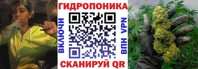 Канабис индика  Кашира 